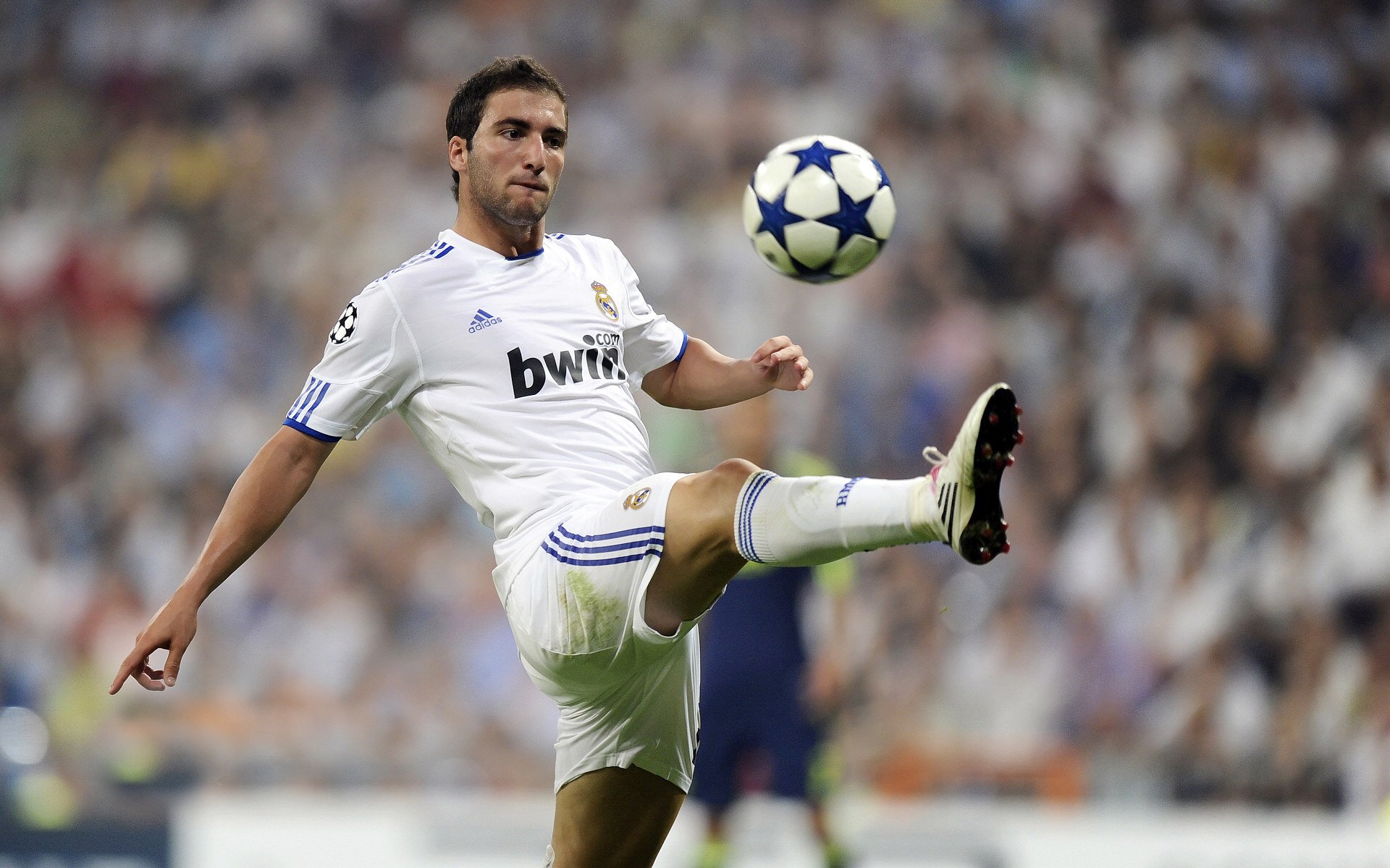 尼斯蓝军众志成城，迎战关键比赛，尼斯ⅴs兰斯